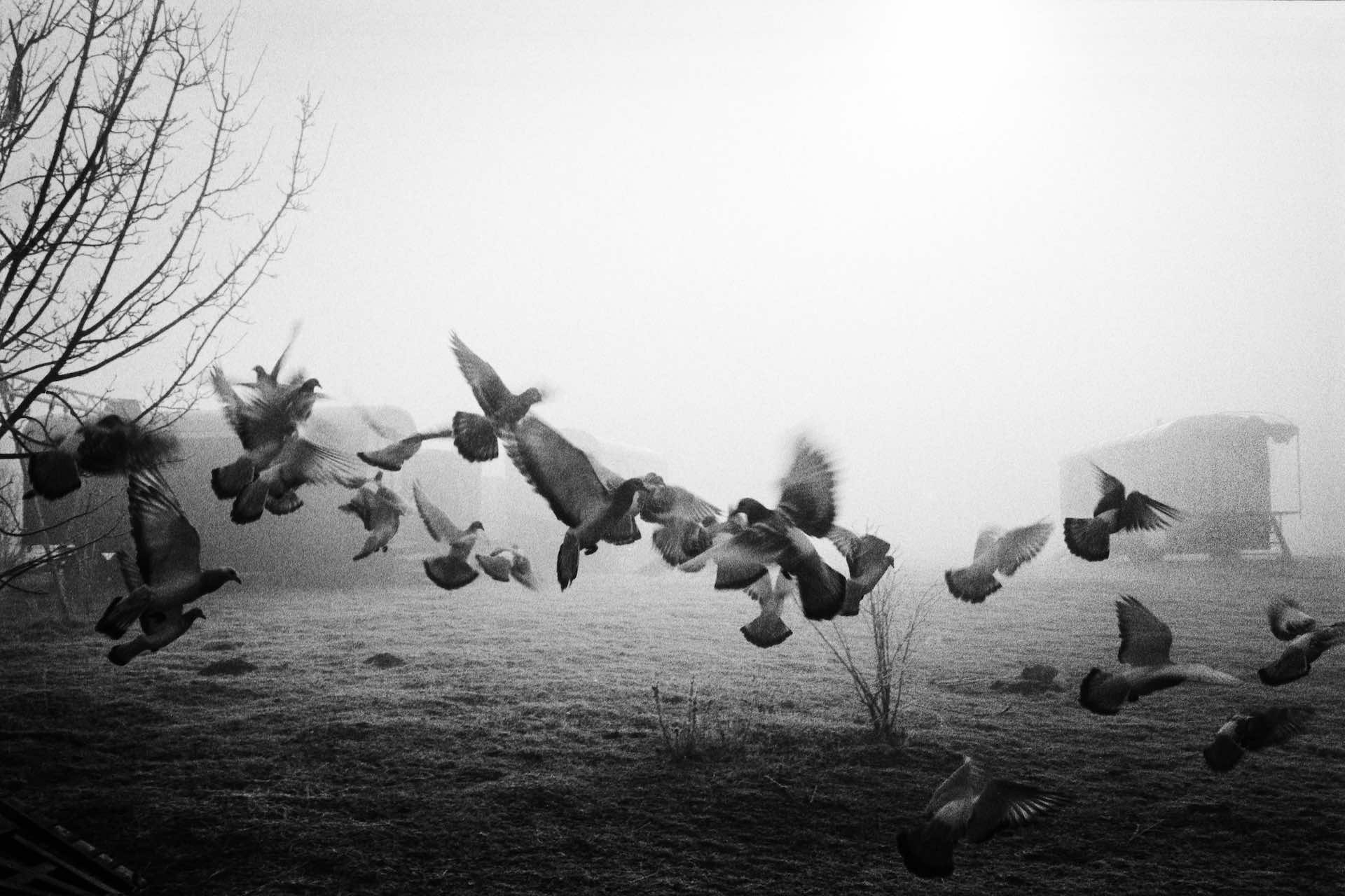 Monthelon, France, 1991 © Matthieu Hagene